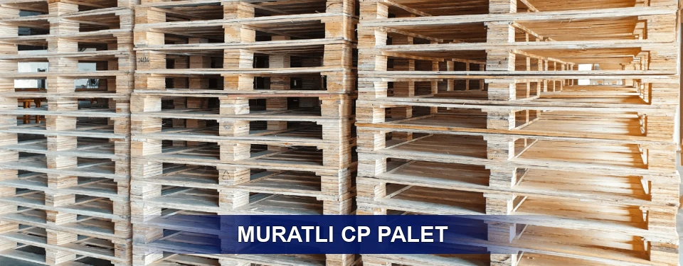 Muratlı Standart Tipler