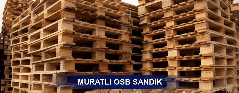 Muratlı Ölçü Planı